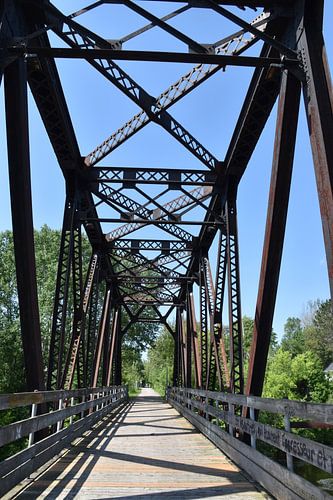 Het fietspad in de zomer