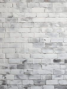 Mur de briques blanches à la structure fine