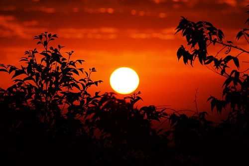 Enjoying The Sunset van Jurgen Hak