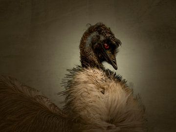 De Diva. De Emoe schrijdt voorbij. Impressionisme. van Alie Ekkelenkamp