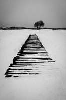 Wooden Bridge in the Snow
