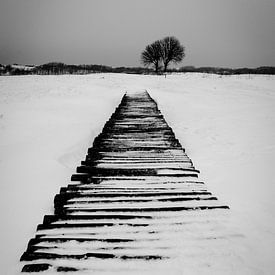 Wooden Bridge in the Snow by Erwin Plug