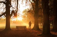 Herbst von Sander van der Werf Miniaturansicht