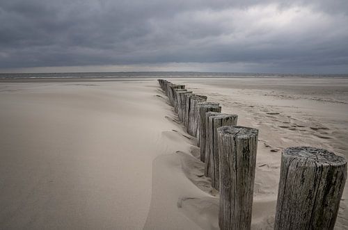 Têtes de pile sur la plage de Hollum, Ameland
