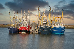 Fischereischiffe im Hafen von Lauwersoog