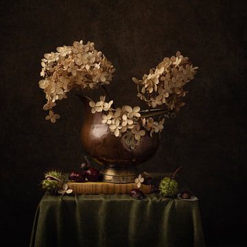 Hortensie von Carolien van Schie