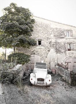 Deux Chevaux van Connie de Graaf