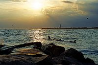 Cape May Sonnenuntergang