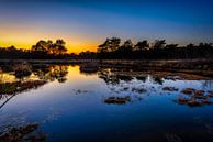 The last light of the day by Johan Vanbockryck thumbnail