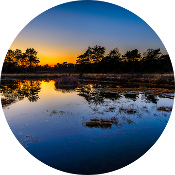 Het laatste licht van de dag