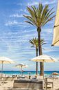 Beachclub Ibiza van Mark Bolijn thumbnail