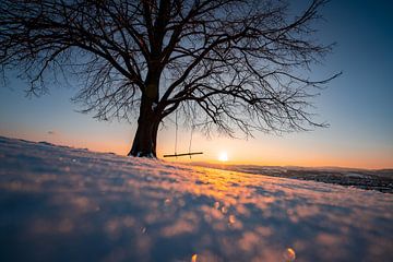 Zonsondergang aan een boom met schommel in de winter