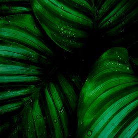 Watercolor Green Leaves van MDRN HOME