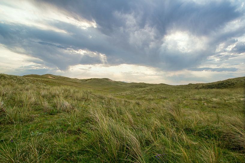 Duinen van Castricum van Dennis Schaefer