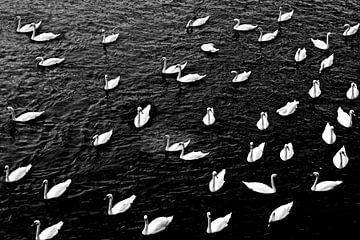 MOLDAU 1 von Miroslav Ptacek