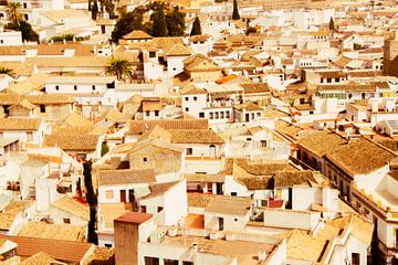 Cordoba from the top by Travel.san