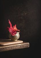 Herfstblad - fine art