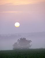 misty sunrise