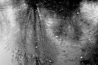 Reflexion auf dem Eis