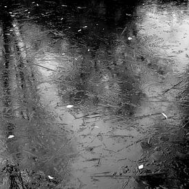 reflection on ice by Jakob Huizen van
