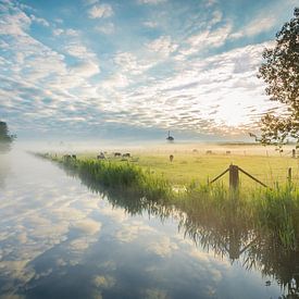 A  beautiful morning van Max ter Burg Fotografie