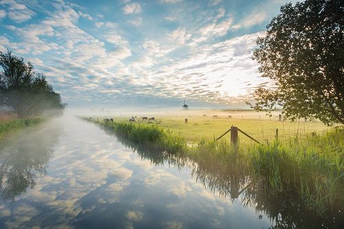 A  beautiful morning van Max ter Burg Fotografie
