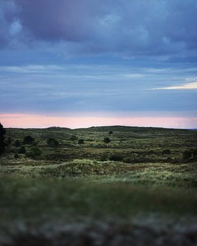 Duinen in Terschelling van Annette van den Berg