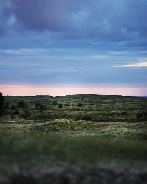 Duinen in Terschelling von Annette van den Berg