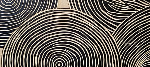 Modernité scandinave minimaliste