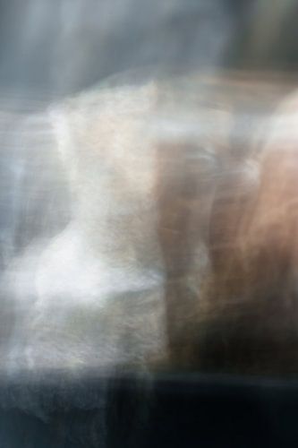 Vrouw (of korset) | Abstract