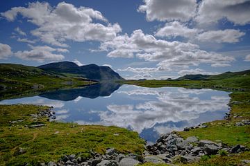 Reflets de la nature norvégienne sur Koos de Wit