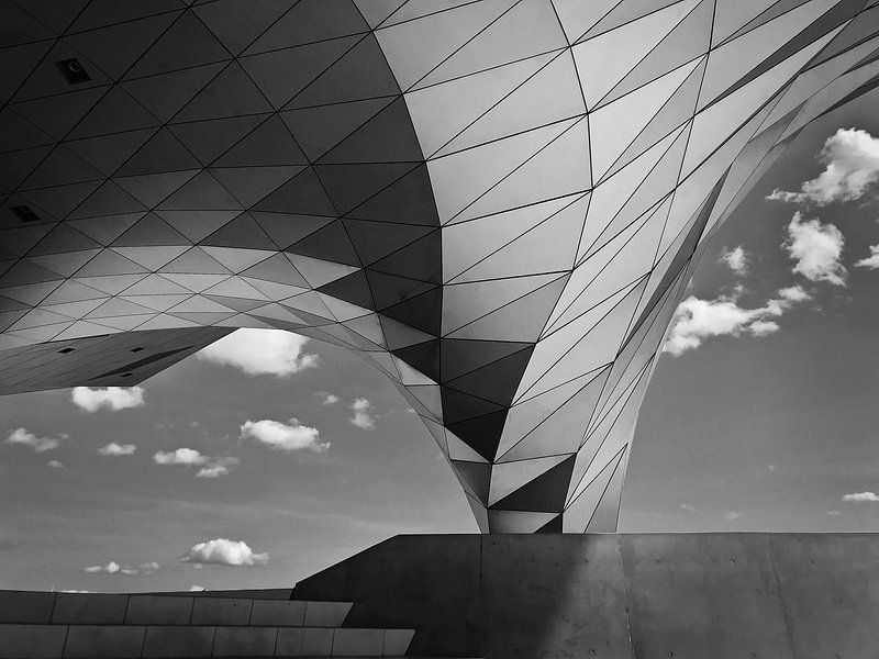 Musee des Confluences Lyon (museum) by Desiree Tibosch