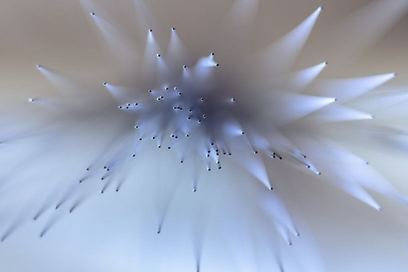 Trommelbürste von Jefra Creations