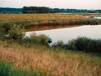 Bootje in de Ooijpolder