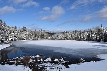 The small lake in spring by Claude Laprise