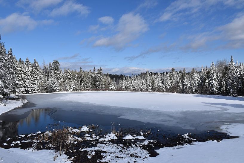 The small lake in spring by Claude Laprise