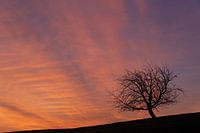 Morgenhimmel
