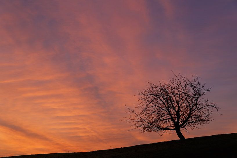 Morgenhimmel von Ronny Rohloff