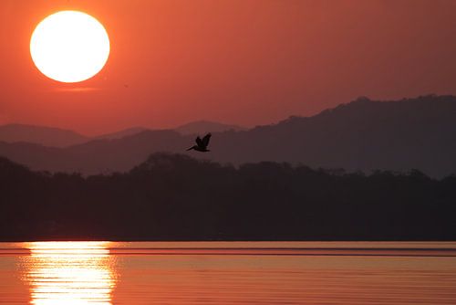 Sunrise | Rising Sun | Pelican | Mountains | Mexico