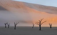 Foggy morning in Deadvlei, in the Namib Desert by Gunther Cleemput thumbnail