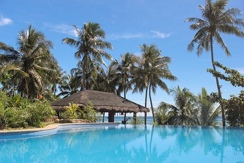 Zwembad met palmbomen en bamboo hut op tropisch eiland