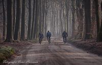 Samen in t bos