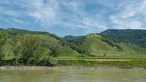 Wachau en Basse-Autriche