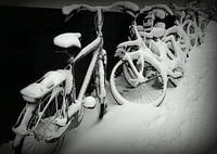 Frischer Schnee
