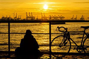 Silhouette Mann und Fahrrad vor Container Hafen in Hamburg bei Sonnenuntergang