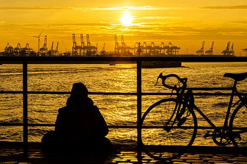 Silhouette man and bicycle in front of container port in Hamburg at sunset