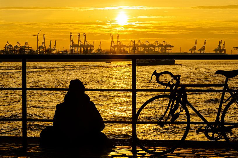 Silhouette man and bicycle in front of container port in Hamburg at sunset by Dieter Walther