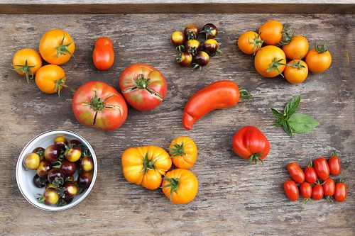 Stilleven met tomaten