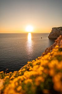 Sonnenuntergang an den Klippen Sardiniens am Parco Naturale Di Porto Conte