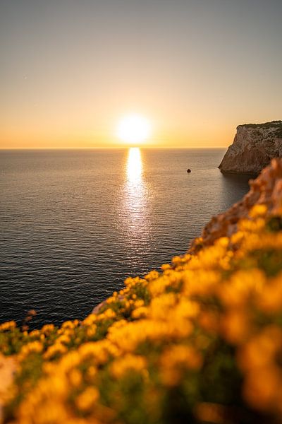 Zonsondergang op de kliffen van Sardinië in het Parco Naturale Di Porto Conte van Leo Schindzielorz